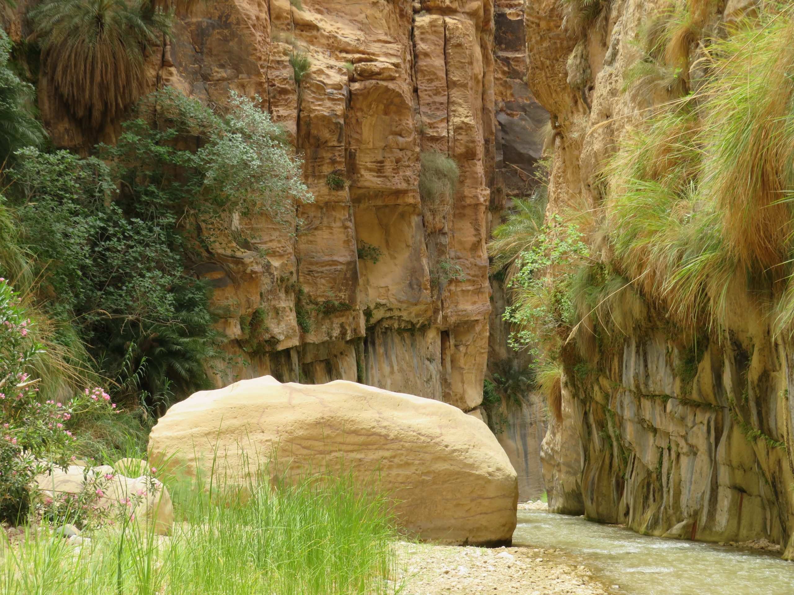 Canyon Hike