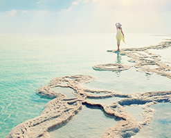 The Dead Sea
